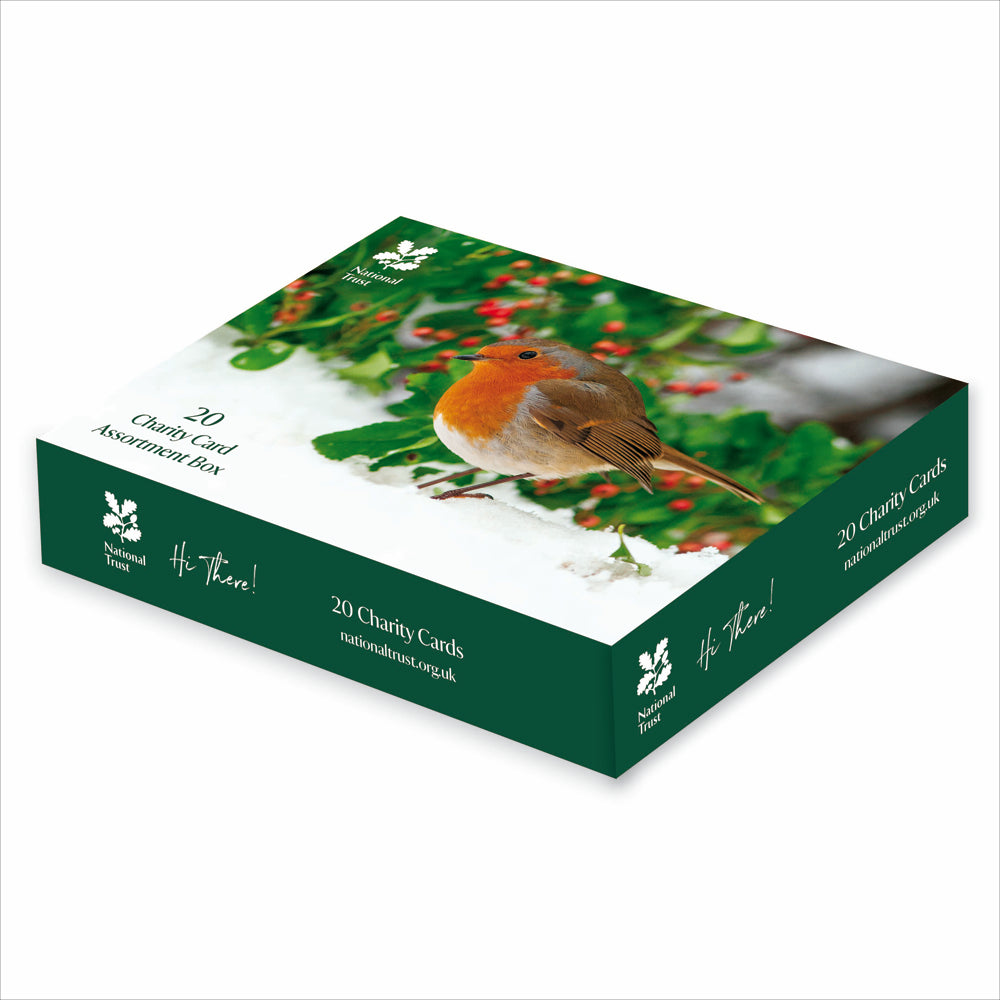 Box Of 20 Assorted National Trust Charity Christmas Cards Boxed Xmas Cards