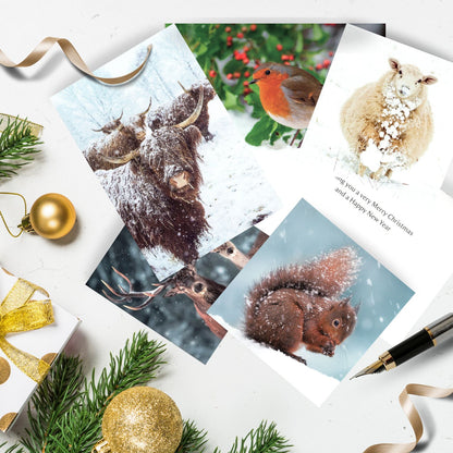 Box Of 20 Assorted National Trust Charity Christmas Cards Boxed Xmas Cards