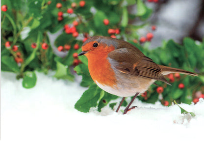 Box Of 20 Assorted National Trust Charity Christmas Cards Boxed Xmas Cards