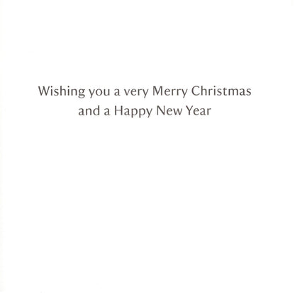 Box Of 20 Assorted National Trust Charity Christmas Cards Boxed Xmas Cards