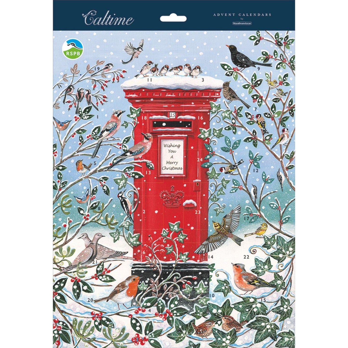 Large Traditional Picture Advent Calendar RSPB Birds Christmas Countdown Gift