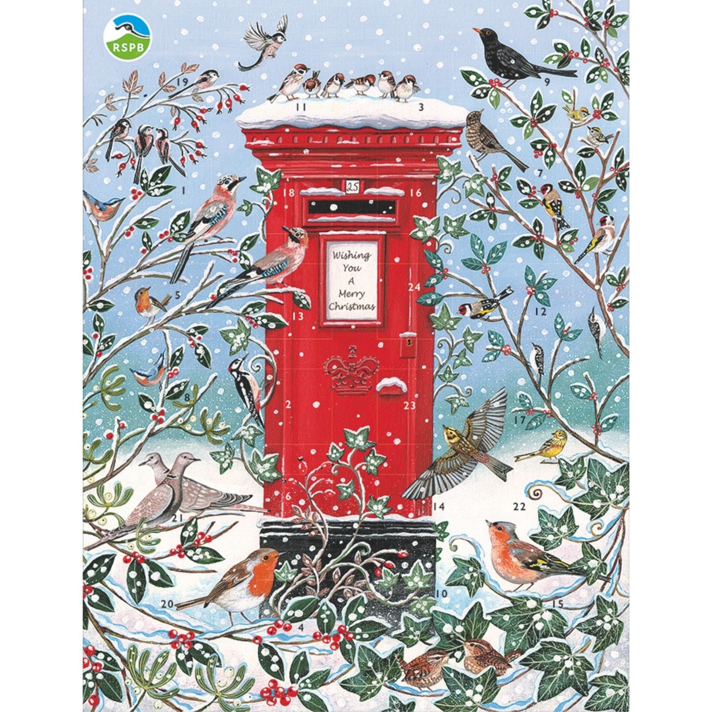 Large Traditional Picture Advent Calendar RSPB Birds Christmas Countdown Gift