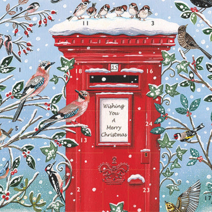 Large Traditional Picture Advent Calendar RSPB Birds Christmas Countdown Gift