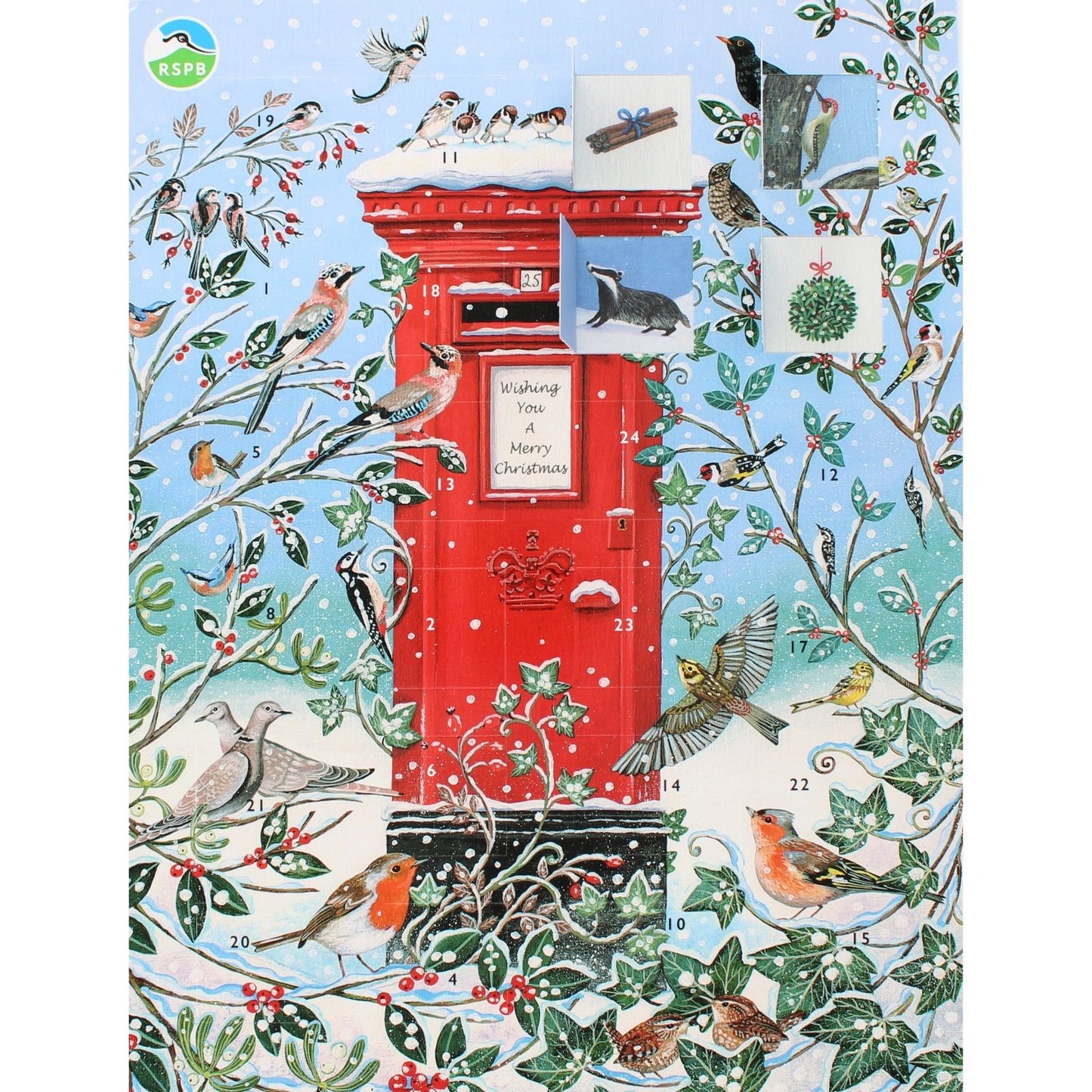 Large Traditional Picture Advent Calendar RSPB Birds Christmas Countdown Gift