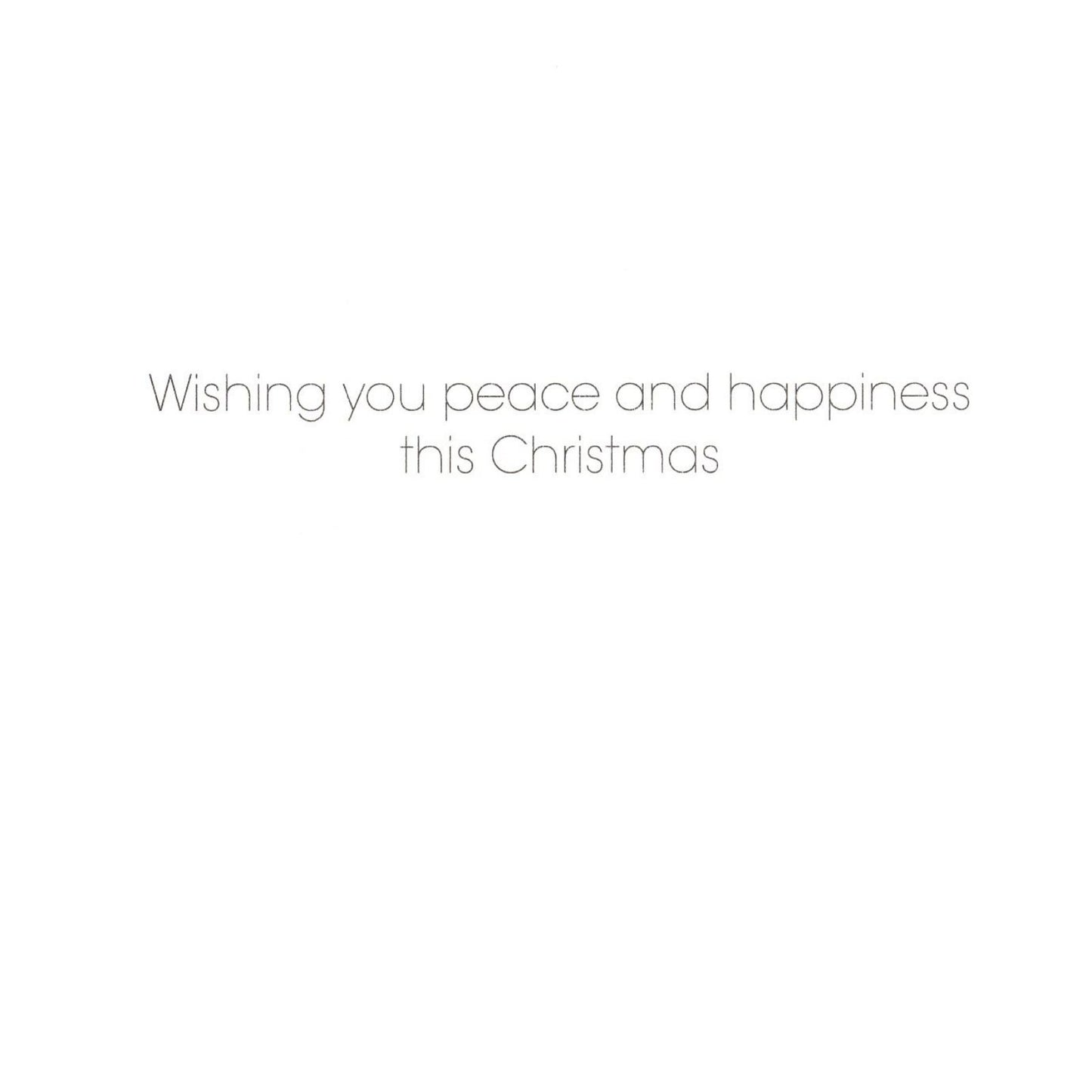 Pack of 5 Charity Christmas Cards Religious Nativity Cards Multiple Charities