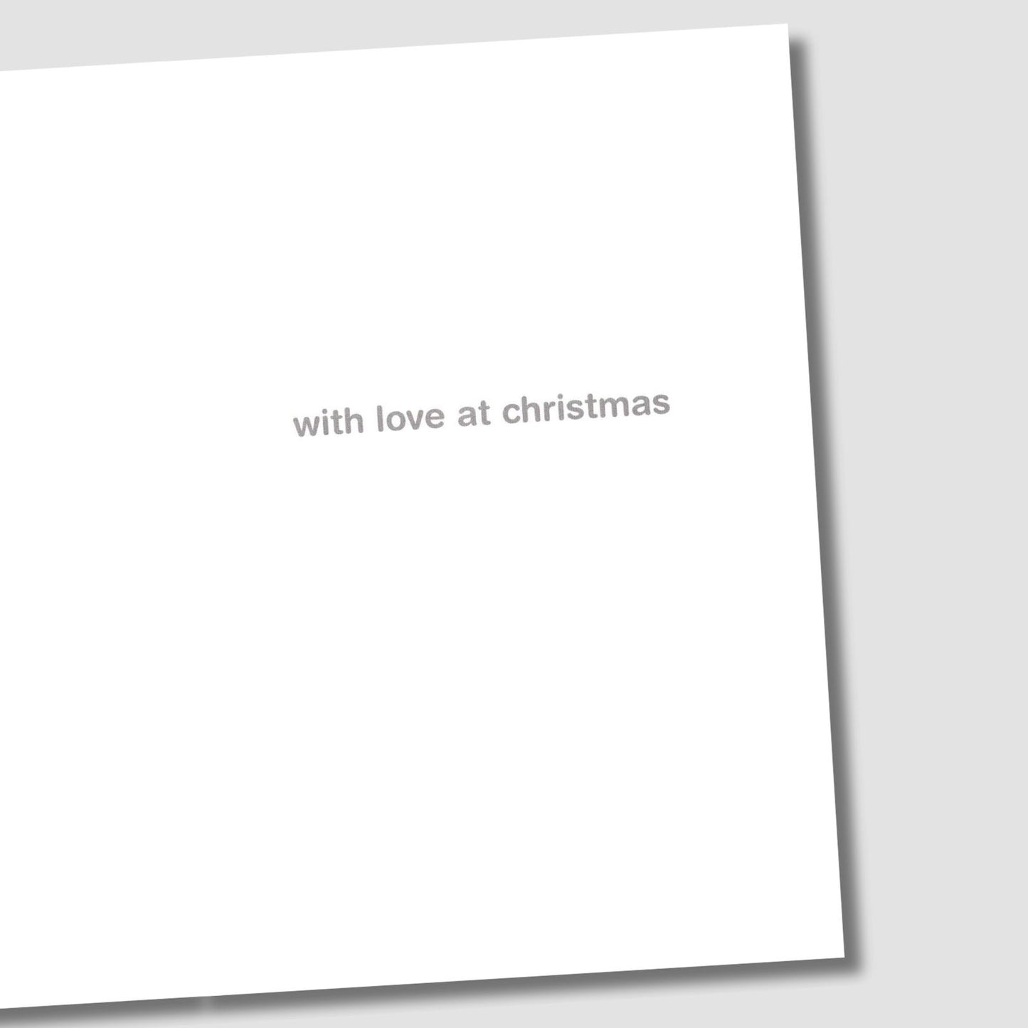 Miffy Grandson Christmas Card Cute Cartoon Bunny Skiing Childs Xmas Greetings