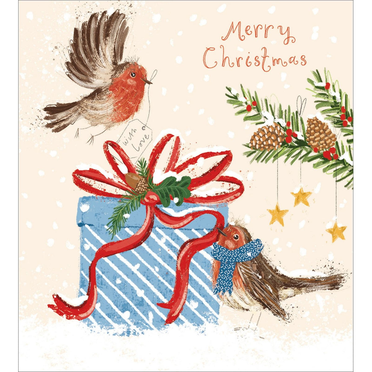 Pack of 5 Charity Christmas Cards Festive Robins Cards The Greenfingers Charity