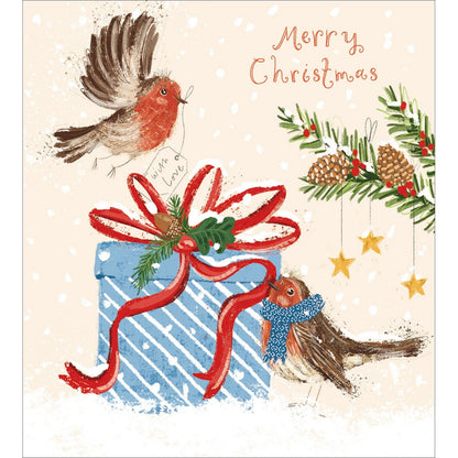 Pack of 5 Charity Christmas Cards Festive Robins Cards The Greenfingers Charity