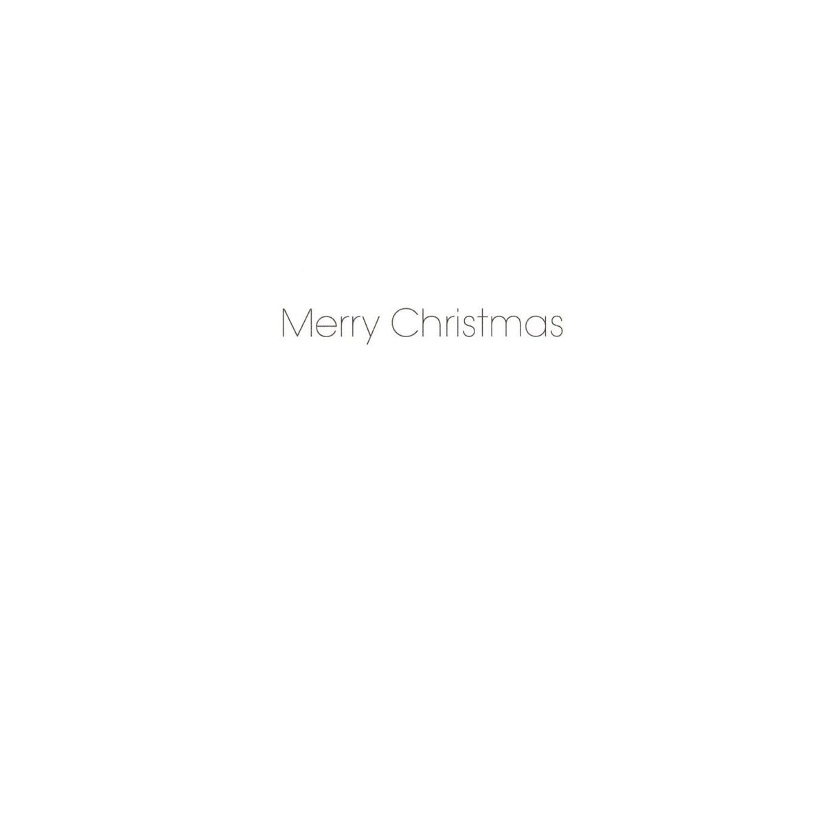Pack of 5 Charity Christmas Cards Festive Robins Cards The Greenfingers Charity