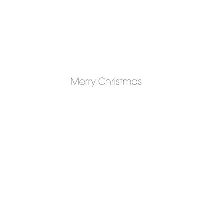 Pack of 5 Charity Christmas Cards Festive Robins Cards The Greenfingers Charity