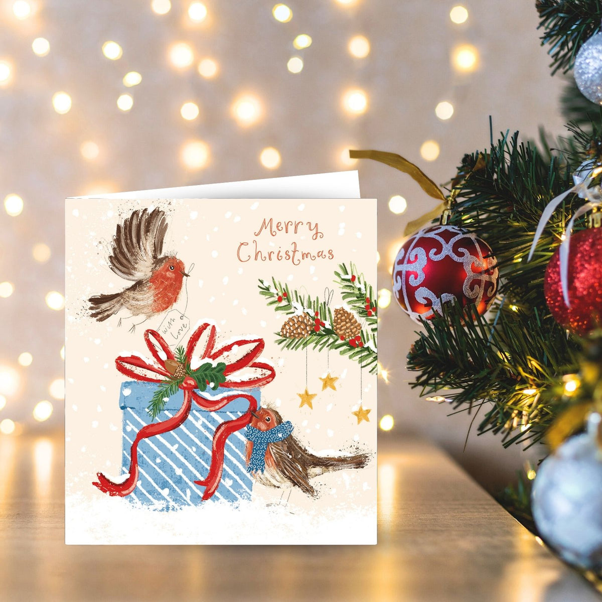 Pack of 5 Charity Christmas Cards Festive Robins Cards The Greenfingers Charity
