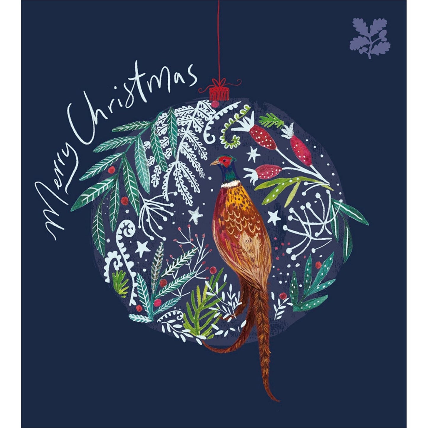 Pack of 5 Charity Christmas Cards Pheasant Bauble Cards National Trust Charity
