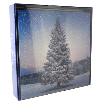 Box of 8 Winter Wonderland Christmas Cards
