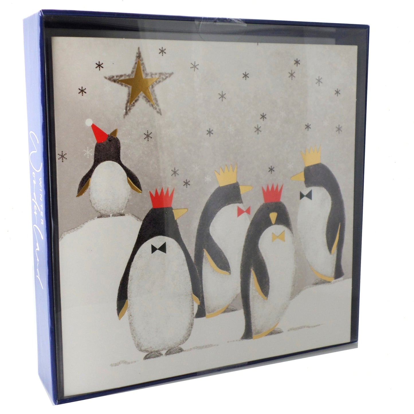 Box of 8 Winter Wonderland Christmas Cards