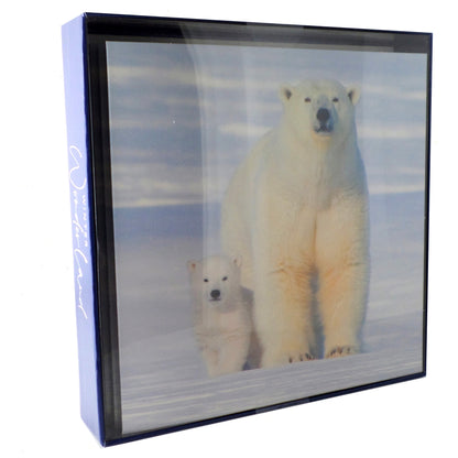 Box of 8 Winter Wonderland Christmas Cards