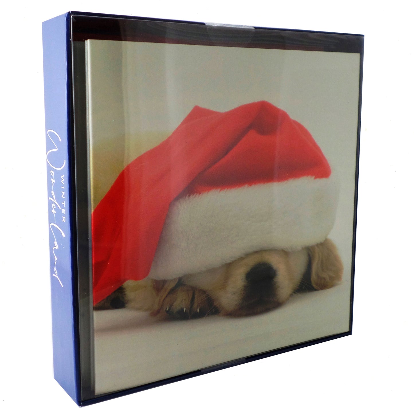 Box of 8 Winter Wonderland Christmas Cards