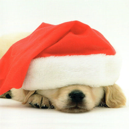 Box of 8 Winter Wonderland Christmas Cards