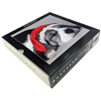 Box of 16 Puppy & Kitten Photographic Christmas Cards In 2 Designs