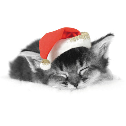 Box of 16 Puppy & Kitten Photographic Christmas Cards In 2 Designs