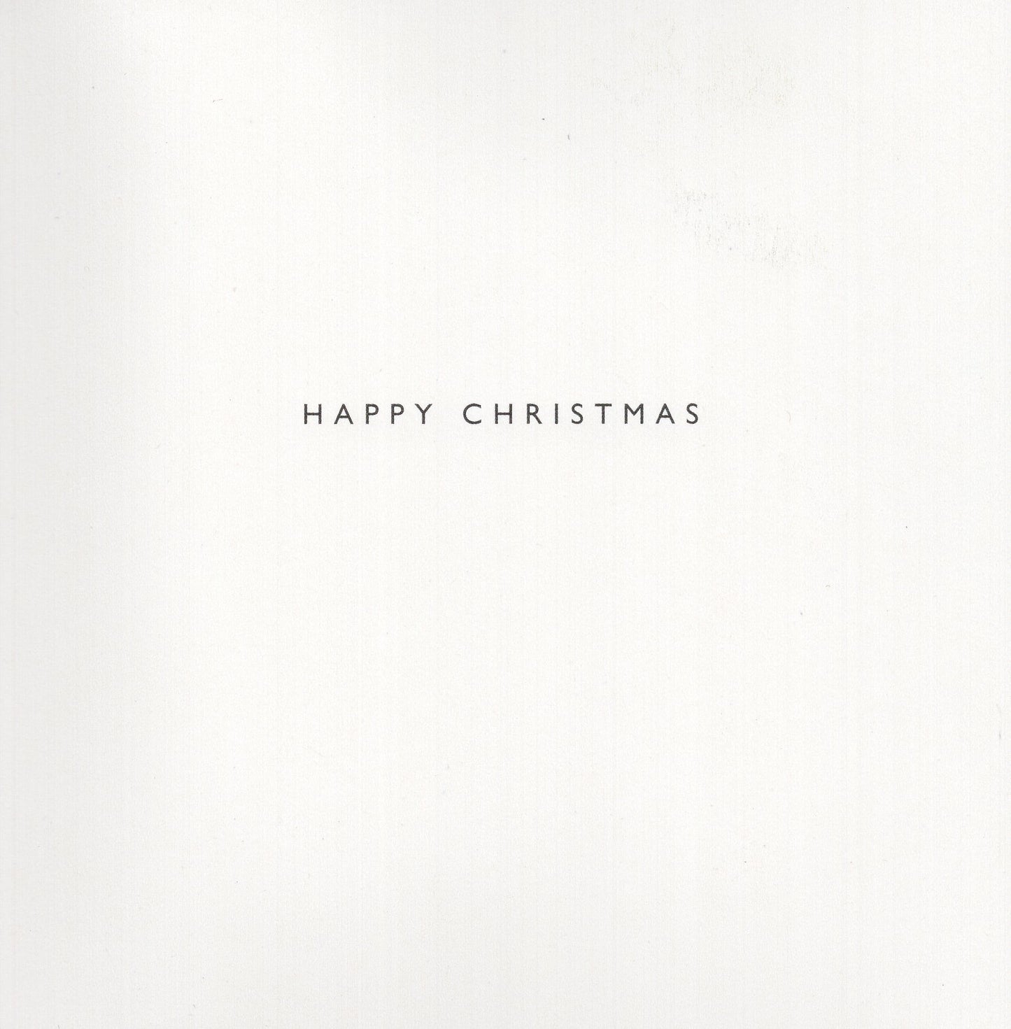 Box of 16 Puppy & Kitten Photographic Christmas Cards In 2 Designs