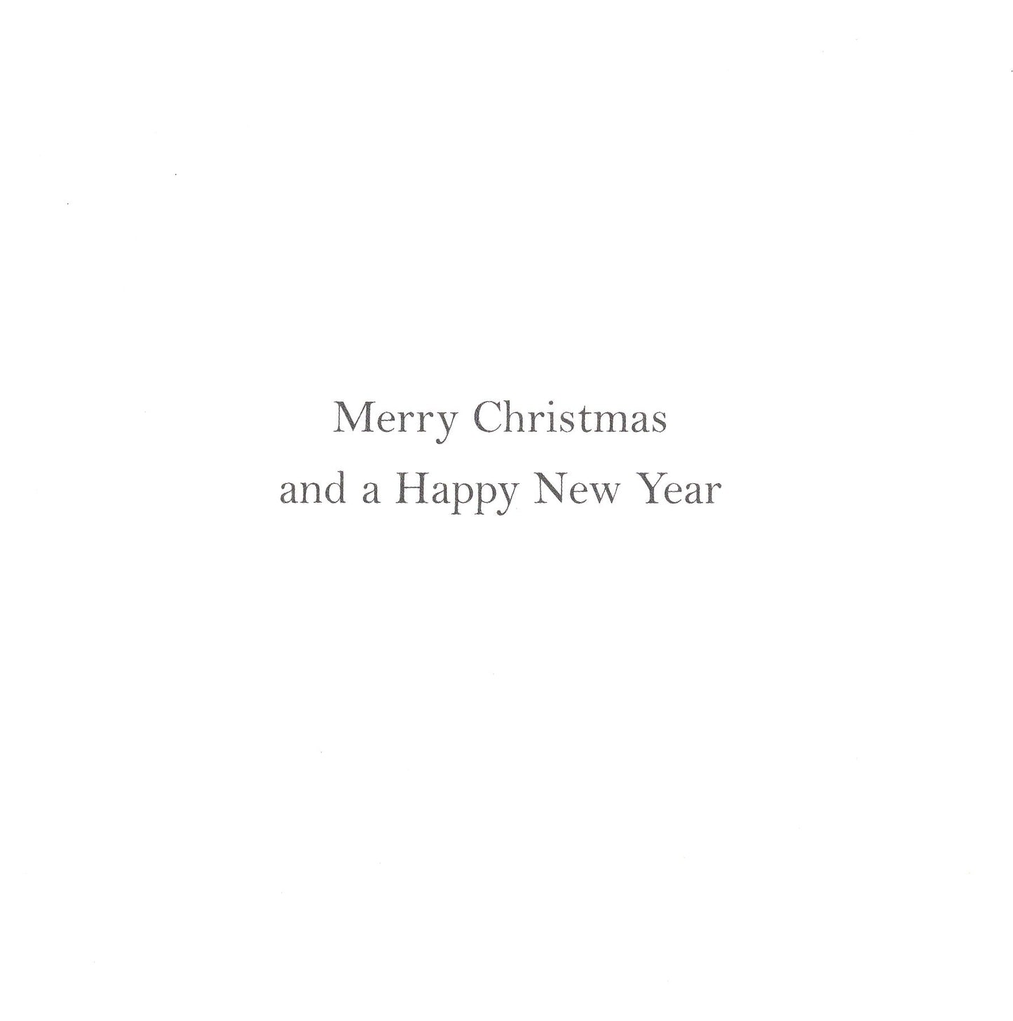 Box of 12 Santa & Reindeer Luxury Foiled Christmas Cards In 2 Designs