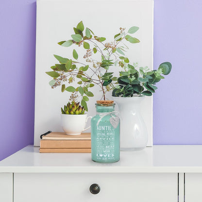 Special Auntie Light Up Jar Messages Of Love Gift