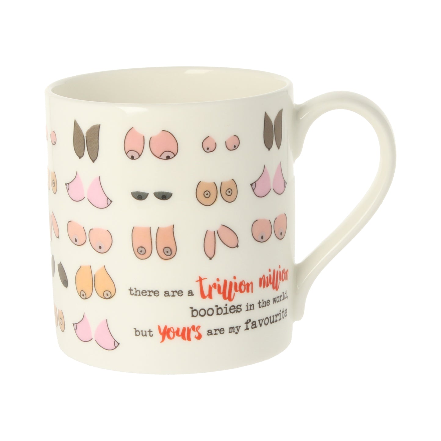 Dandelion Stationery Trillion Million Boobies Favourite Boobies Mug Funny Gift
