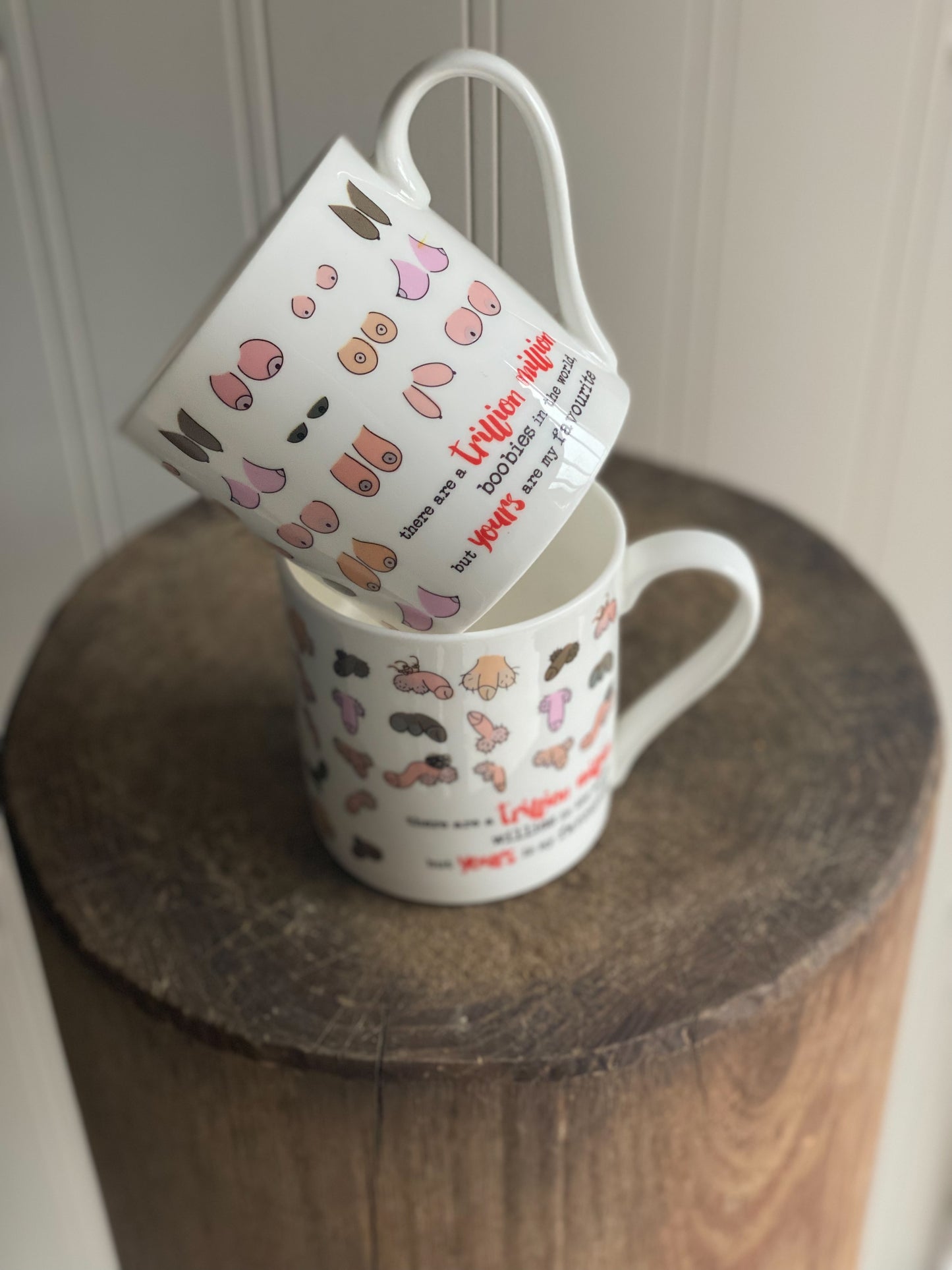 Dandelion Stationery Trillion Million Boobies Favourite Boobies Mug Funny Gift