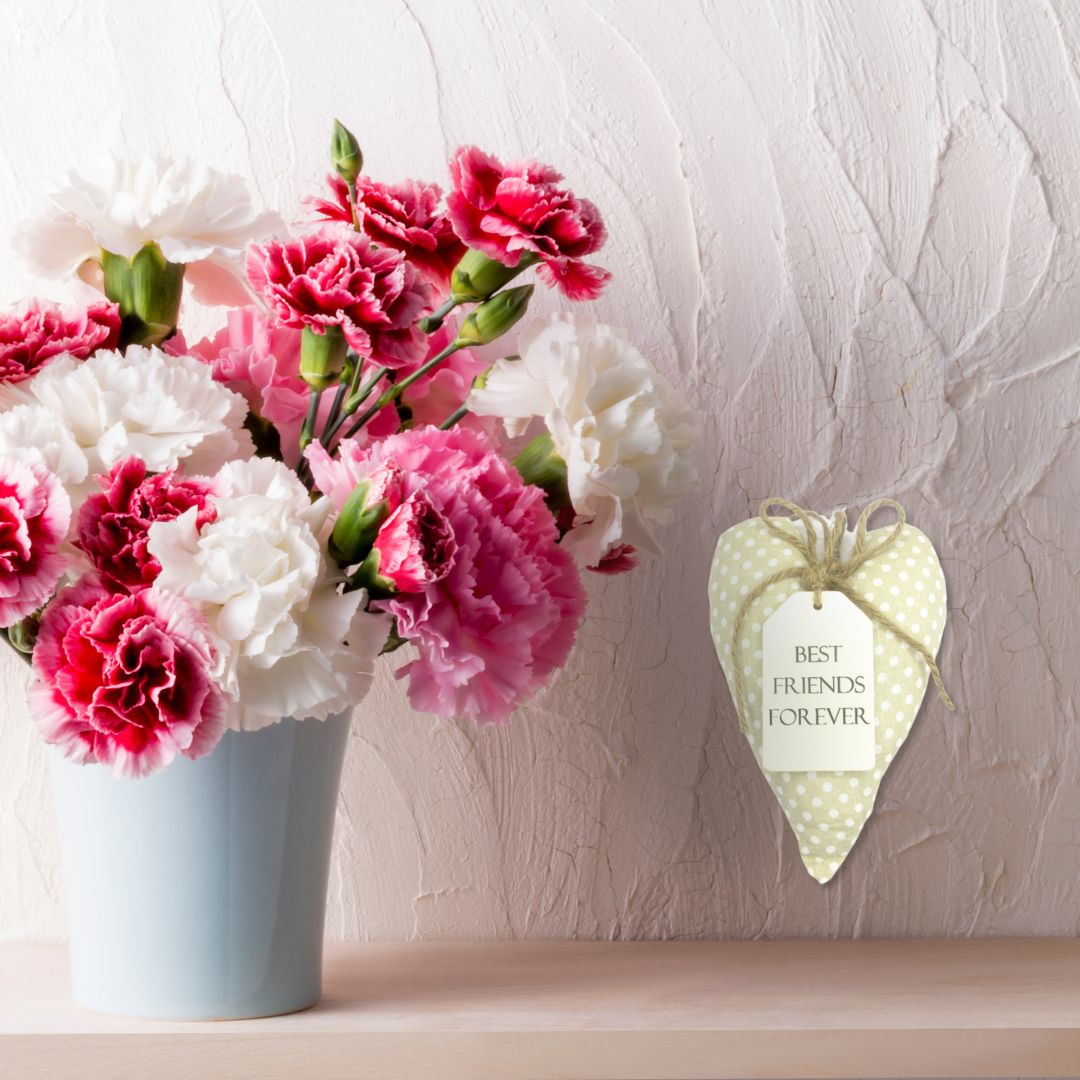 Best Friends Forever Sentiments From The Heart Hanging Cushion