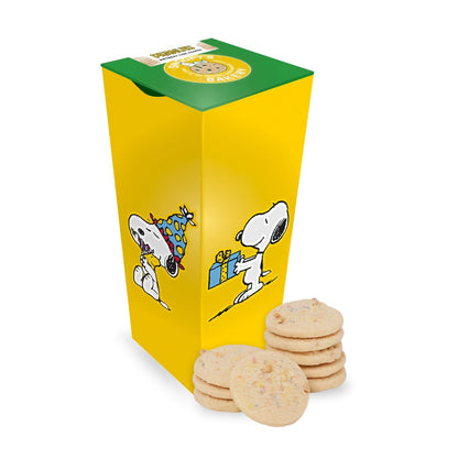 Peanuts Snoopy Birthday Cake Cookies Gift Tin Collectable Gift