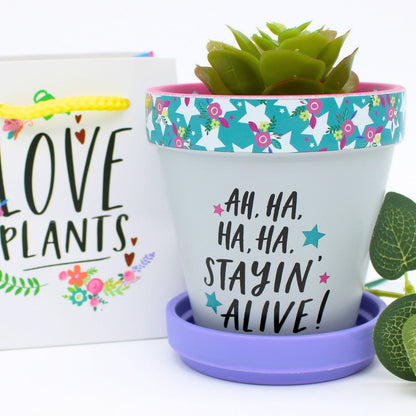 Love Plants Green Terracotta Plant Pot Saucer Gift Idea