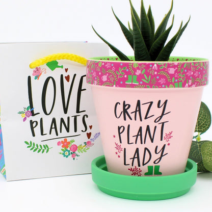 Love Plants Purple Terracotta Plant Pot Saucer Gift Idea