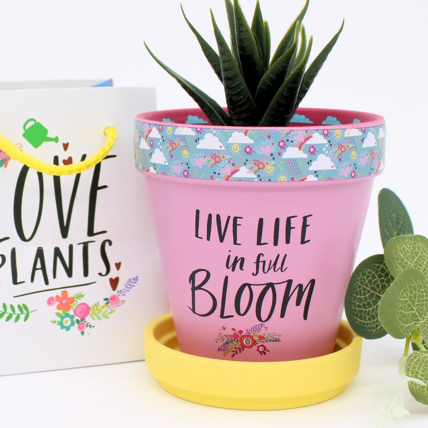 Love Plants Yellow Terracotta Plant Pot Saucer Gift Idea