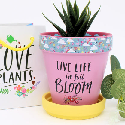 Love Plants Yellow Terracotta Plant Pot Saucer Gift Idea