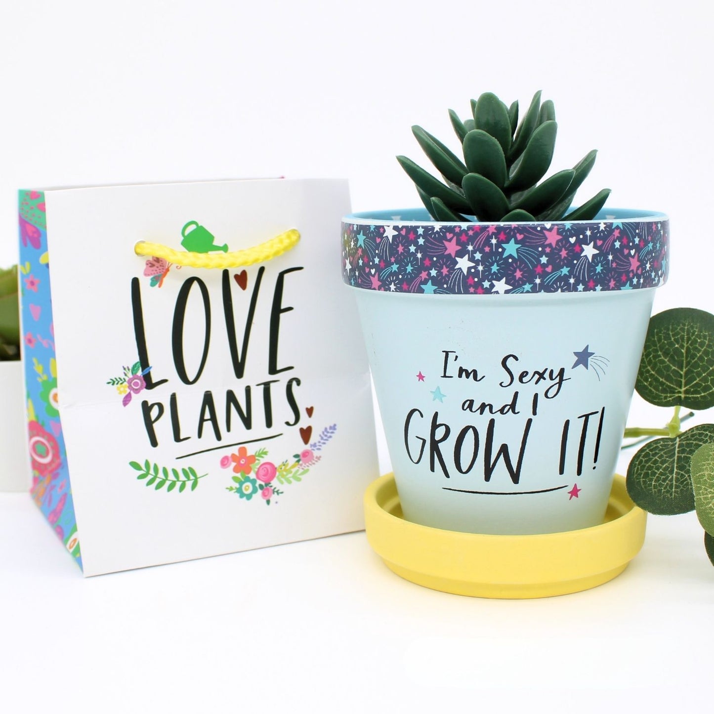Love Plants Gift Bag For Plant Pot Gift Idea