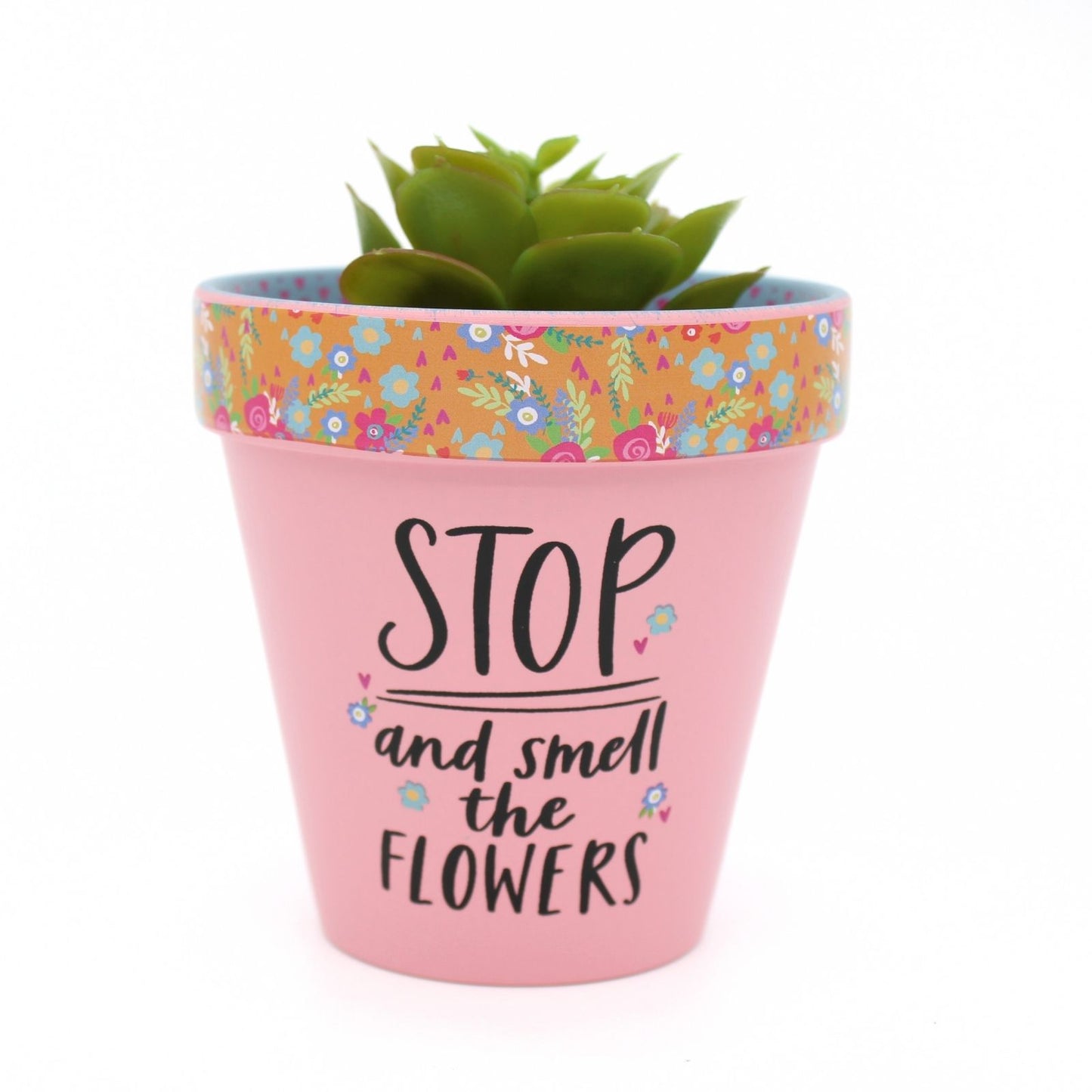 Love Plants Stop & Smell The Flowers Painted Terracotta Plant Pot Gift Idea