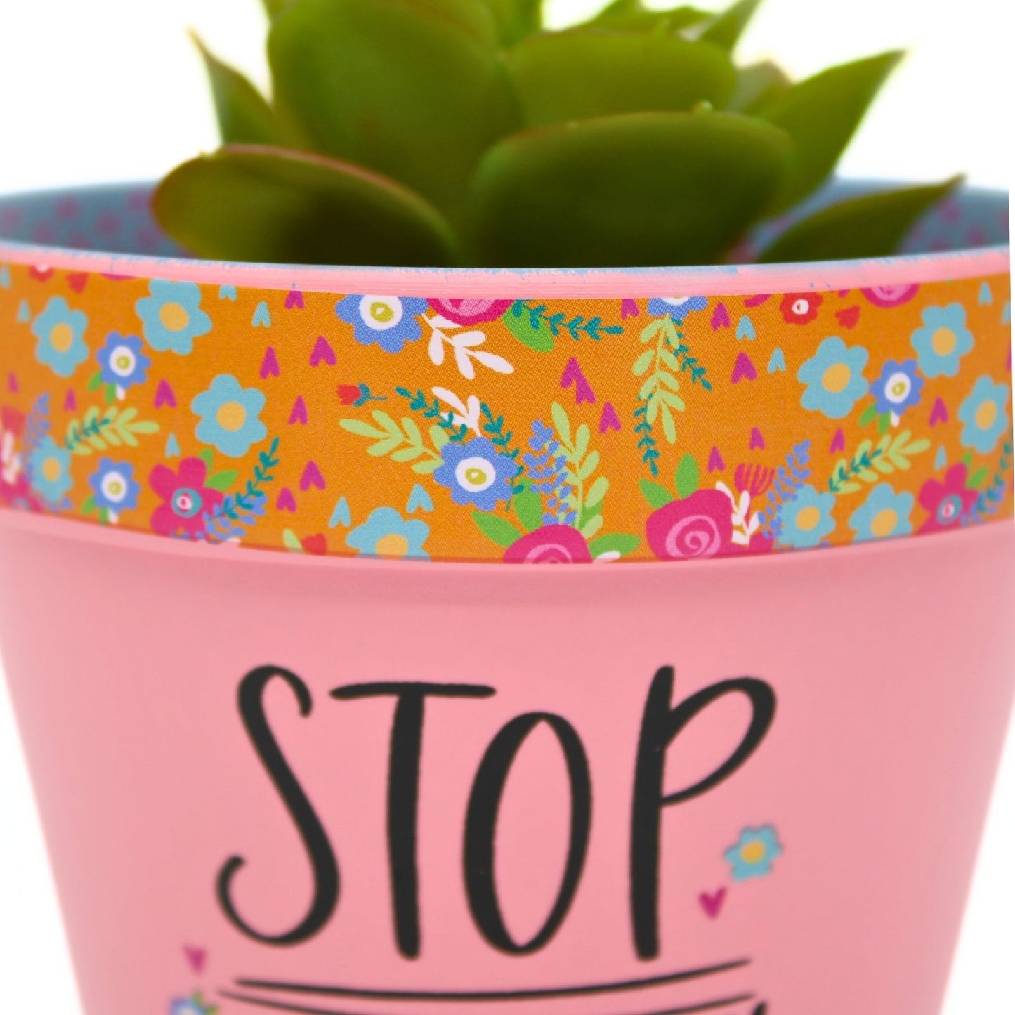 Love Plants Stop & Smell The Flowers Painted Terracotta Plant Pot Gift Idea