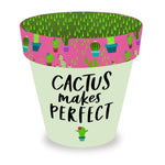 Love Plants Cactus Makes Perfect Green Painted Terracotta Plant Pot Gift Idea