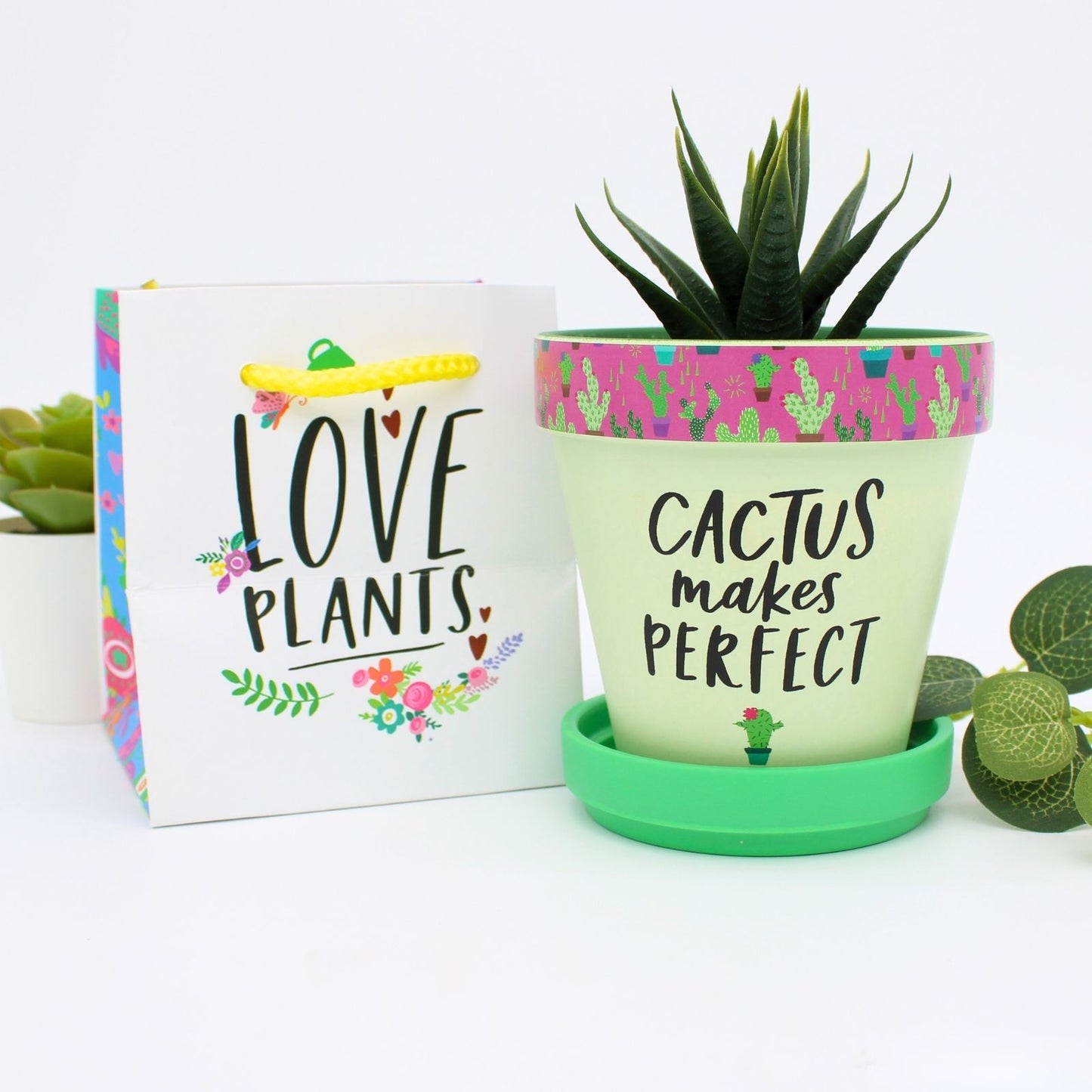 Love Plants Cactus Makes Perfect Green Painted Terracotta Plant Pot Gift Idea
