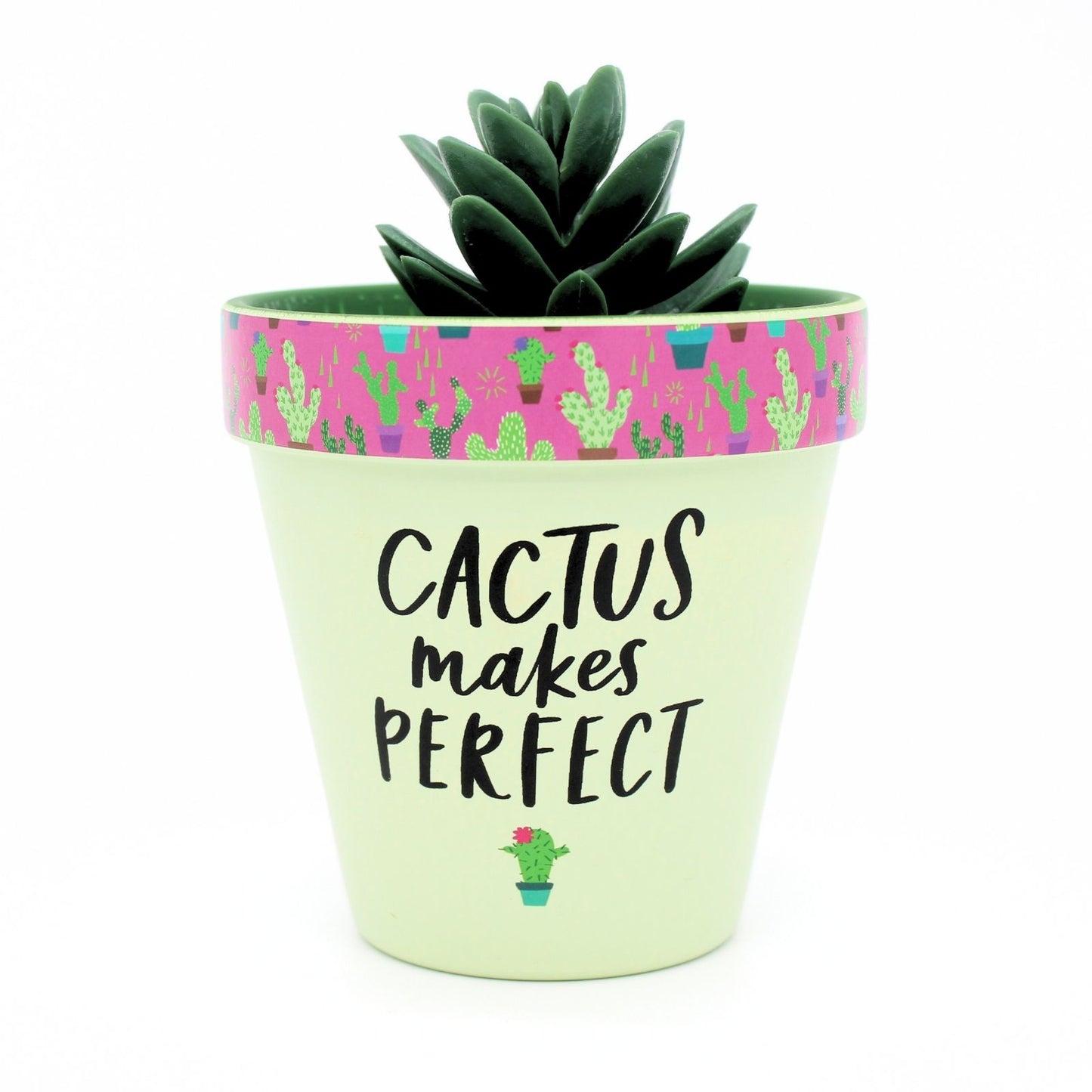 Love Plants Cactus Makes Perfect Green Painted Terracotta Plant Pot Gift Idea