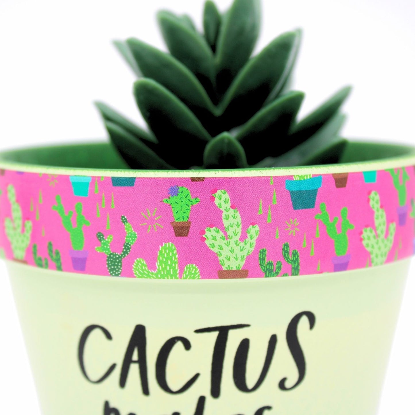 Love Plants Cactus Makes Perfect Green Painted Terracotta Plant Pot Gift Idea