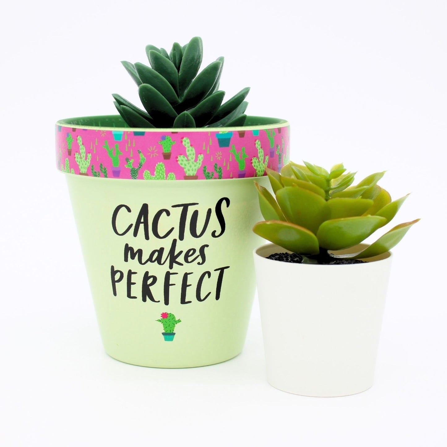Love Plants Cactus Makes Perfect Green Painted Terracotta Plant Pot Gift Idea