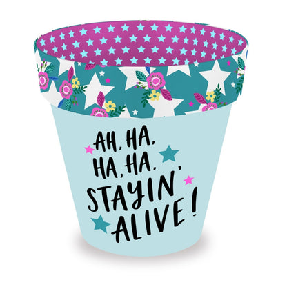Love Plants Ha Ha Staying Alive! Painted Terracotta Plant Pot Gift Idea