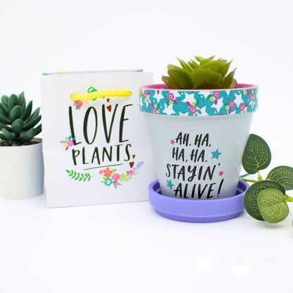 Love Plants Ha Ha Staying Alive! Painted Terracotta Plant Pot Gift Idea