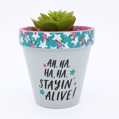 Love Plants Ha Ha Staying Alive! Painted Terracotta Plant Pot Gift Idea