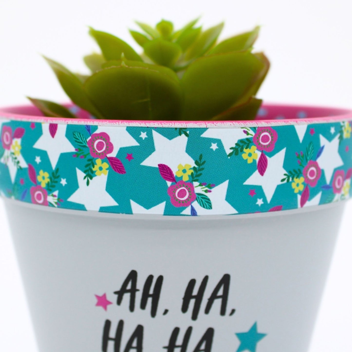 Love Plants Ha Ha Staying Alive! Painted Terracotta Plant Pot Gift Idea