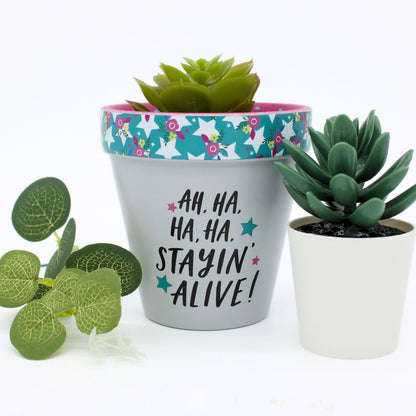 Love Plants Ha Ha Staying Alive! Painted Terracotta Plant Pot Gift Idea