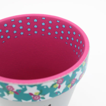 Love Plants Ha Ha Staying Alive! Painted Terracotta Plant Pot Gift Idea