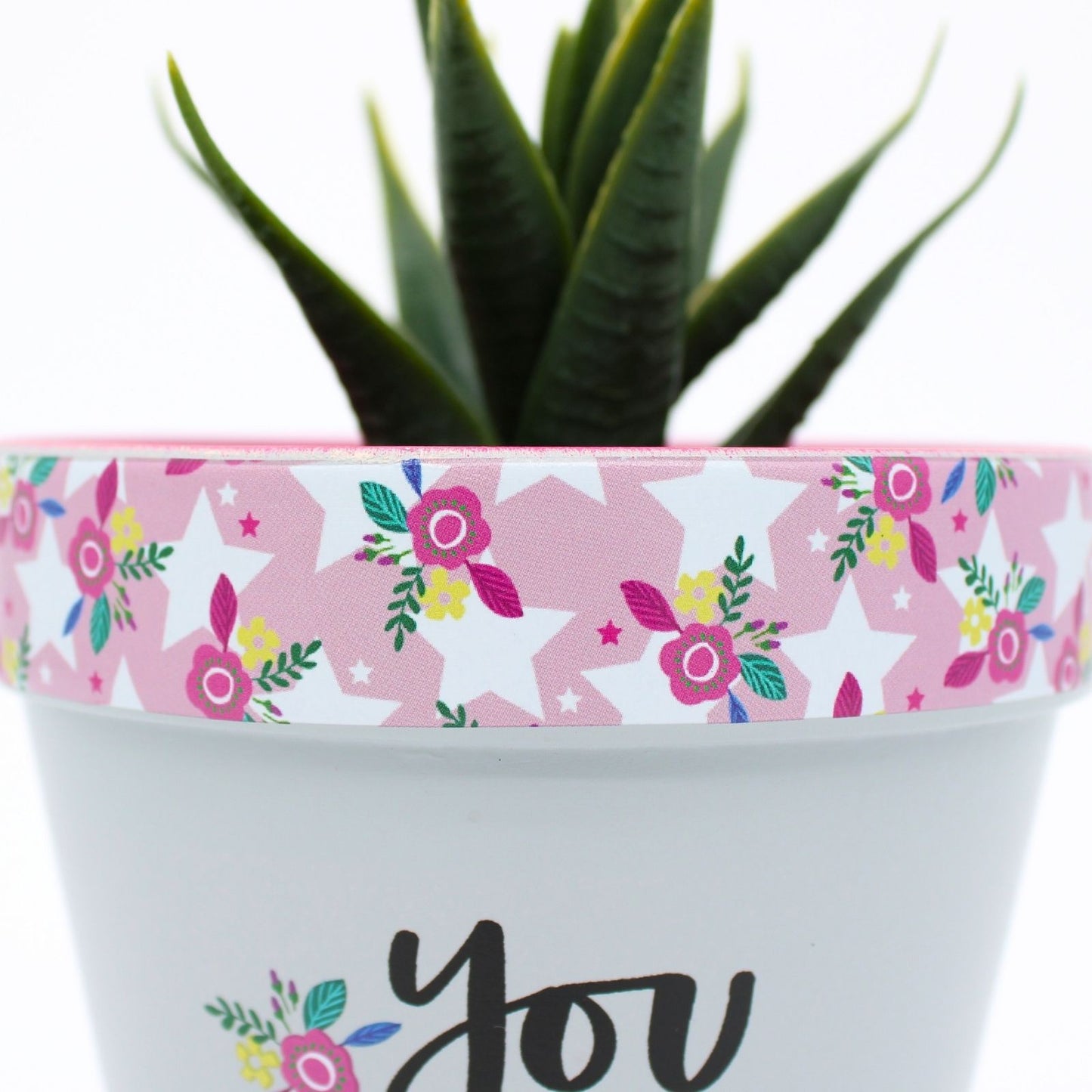 Love Plants You Grow Girl Painted Terracotta Plant Pot Gift Idea