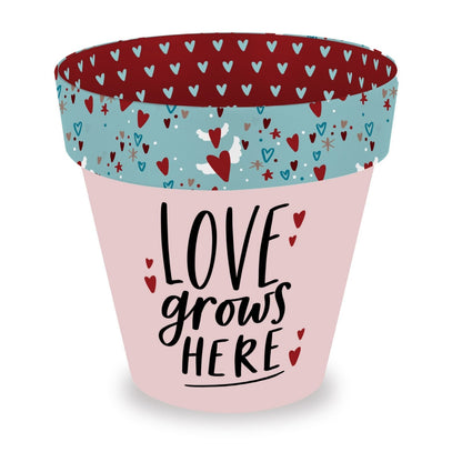 Love Plants Love Grows Here Pink Painted Terracotta Plant Pot Gift Idea